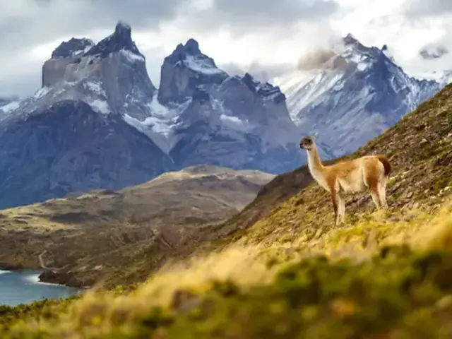 Signature: Argentina, Chile & the Heart of Patagonia