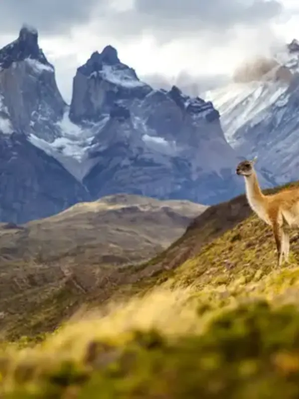 Signature: Argentina, Chile & the Heart of Patagonia