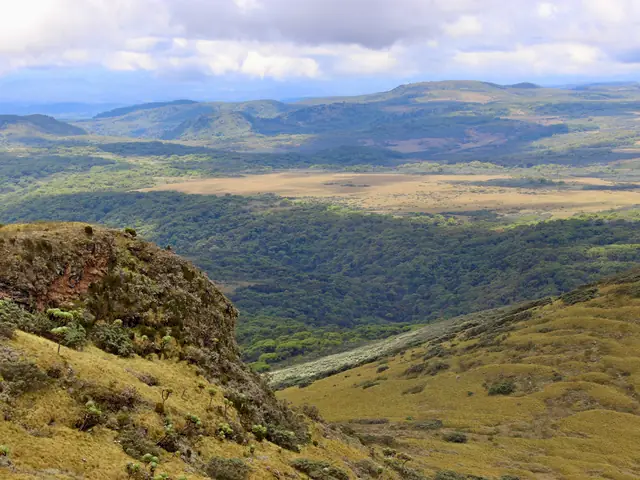 The Plains of Africa Kenya Wildlife Safari