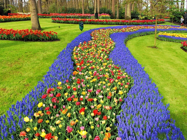 Holland and Belgium Springtime River Cruise