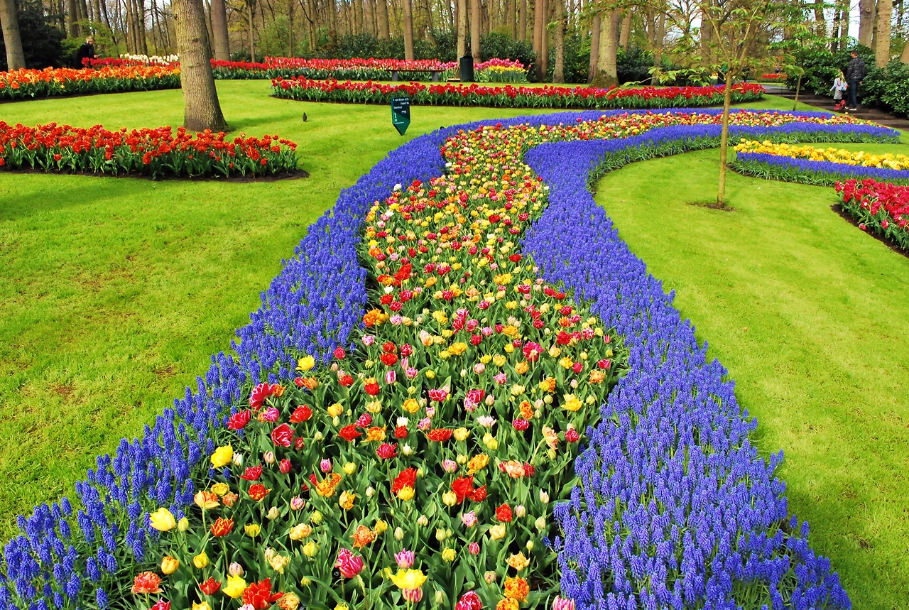 Holland and Belgium Springtime River Cruise