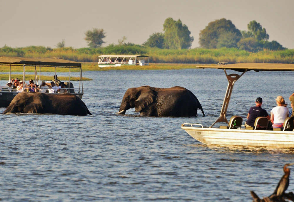 Wilderness of Southern Africa: Safari by Land & Water