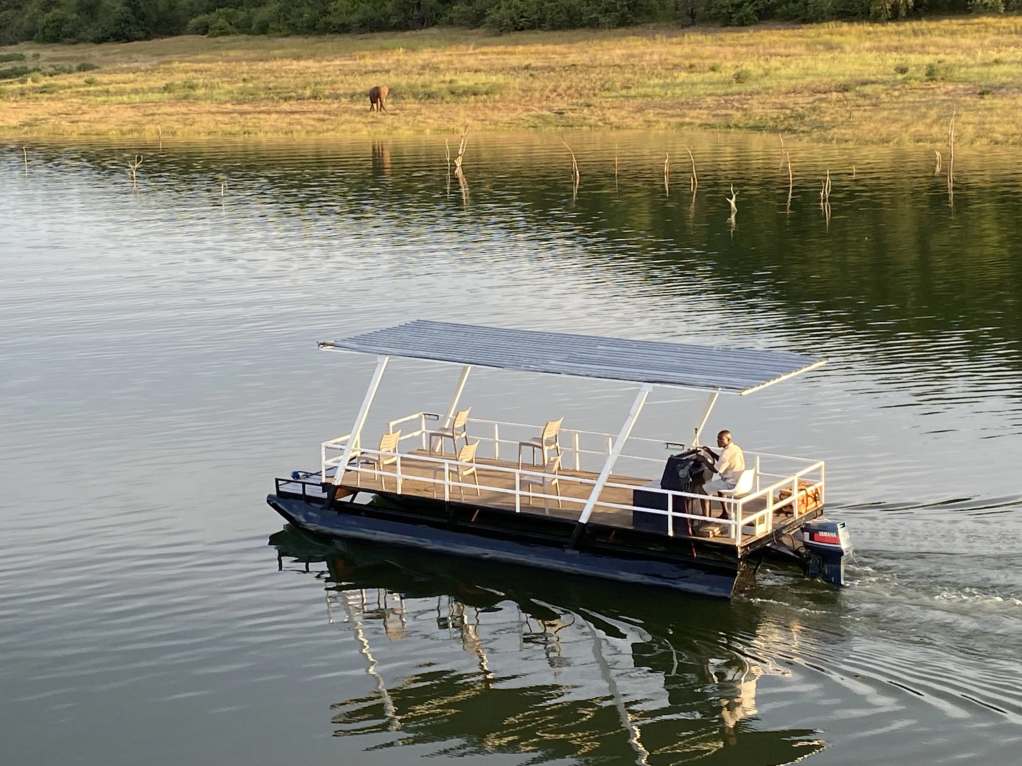 Wilderness of Southern Africa: Safari by Land & Water