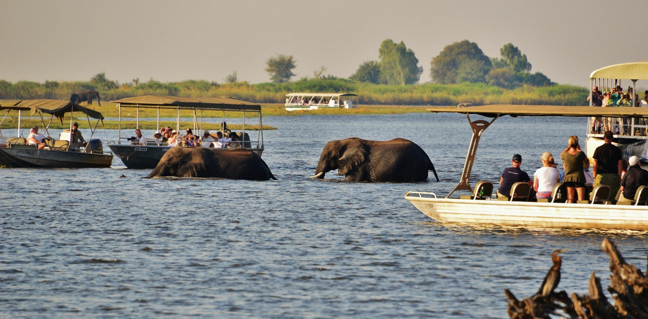 Wilderness of Southern Africa: Safari by Land & Water