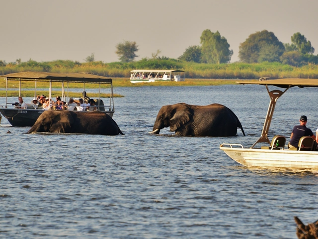 Wilderness of Southern Africa: Safari by Land & Water