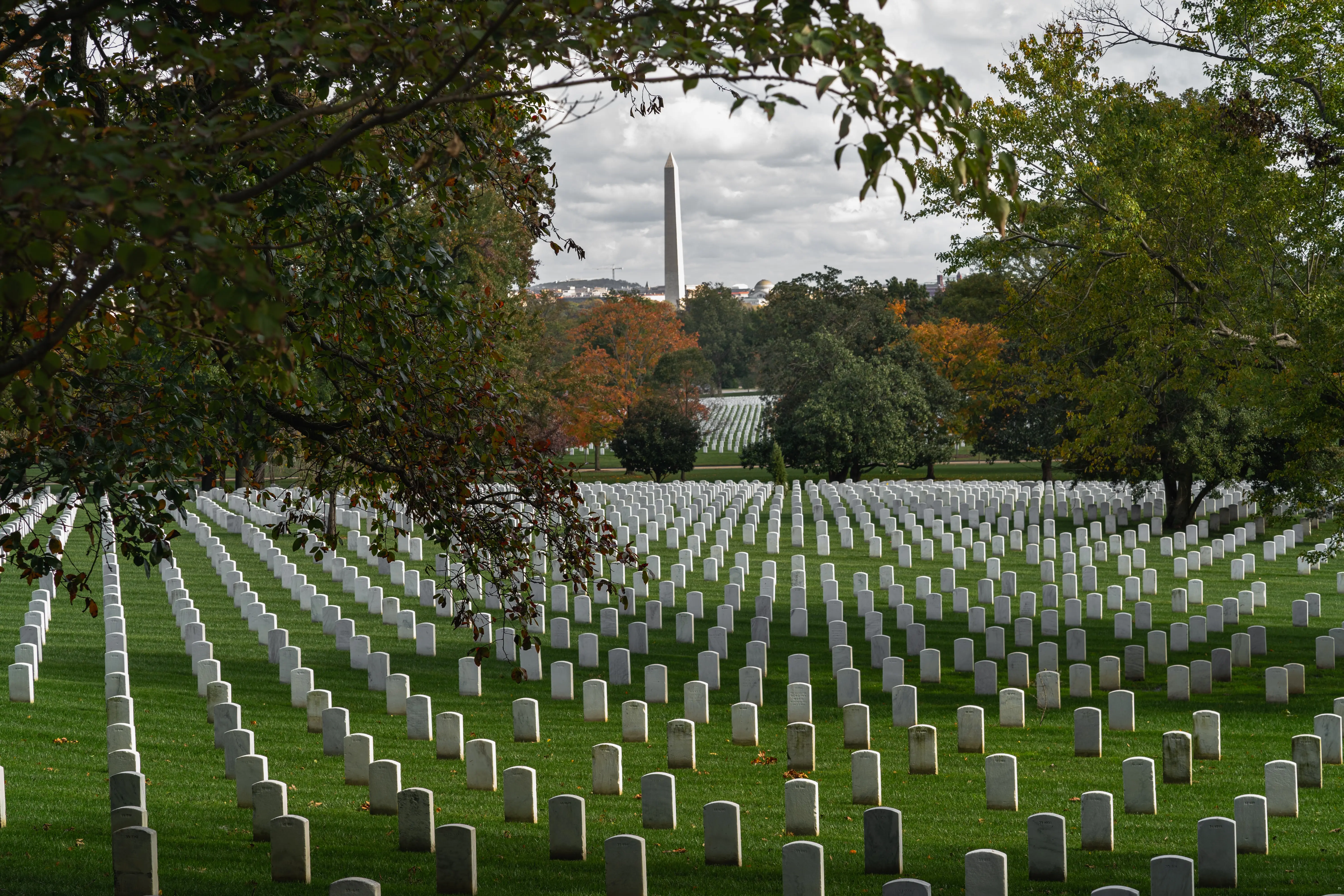 Spotlight on Washington, D.C. Exploring America's Capital