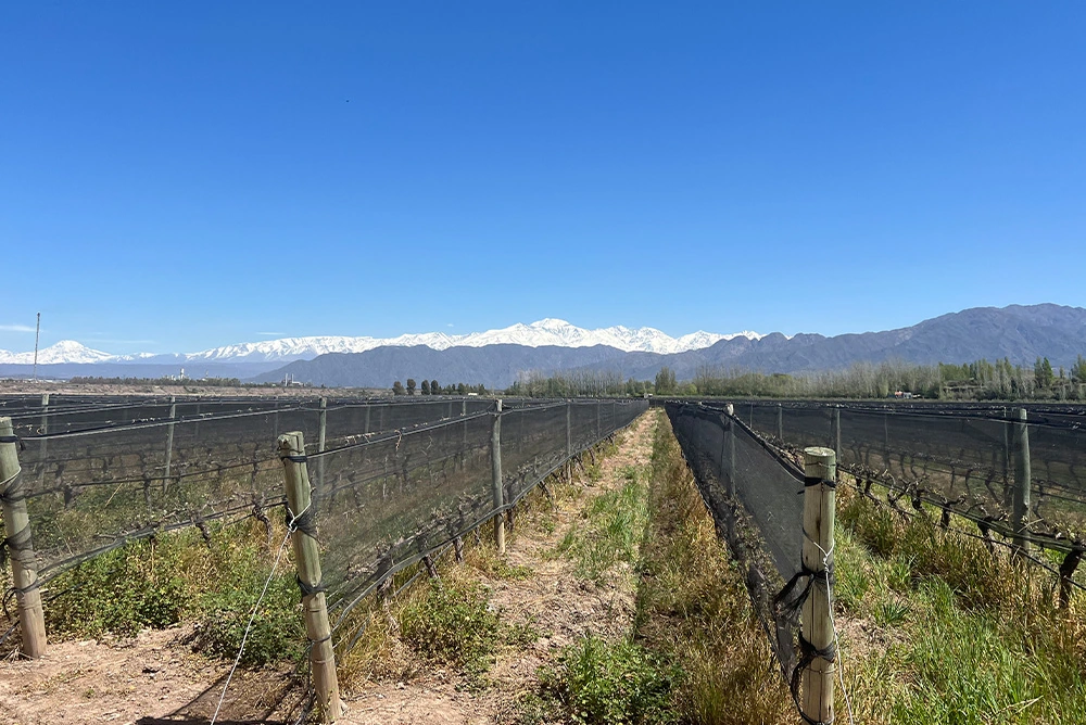 Essential South America featuring Chile, the Mendoza Wine Region & Buenos Aires