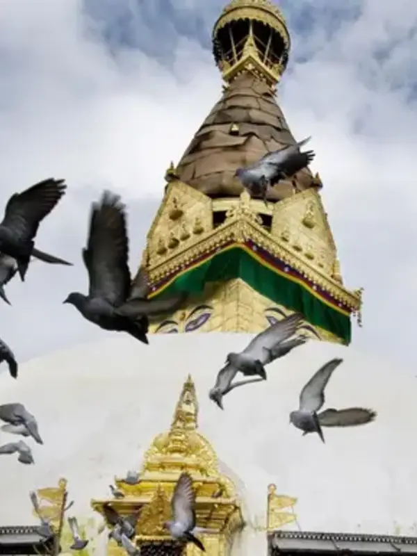 Nepal & Bhutan: From the Annapurna Foothills to Tiger's Nest
