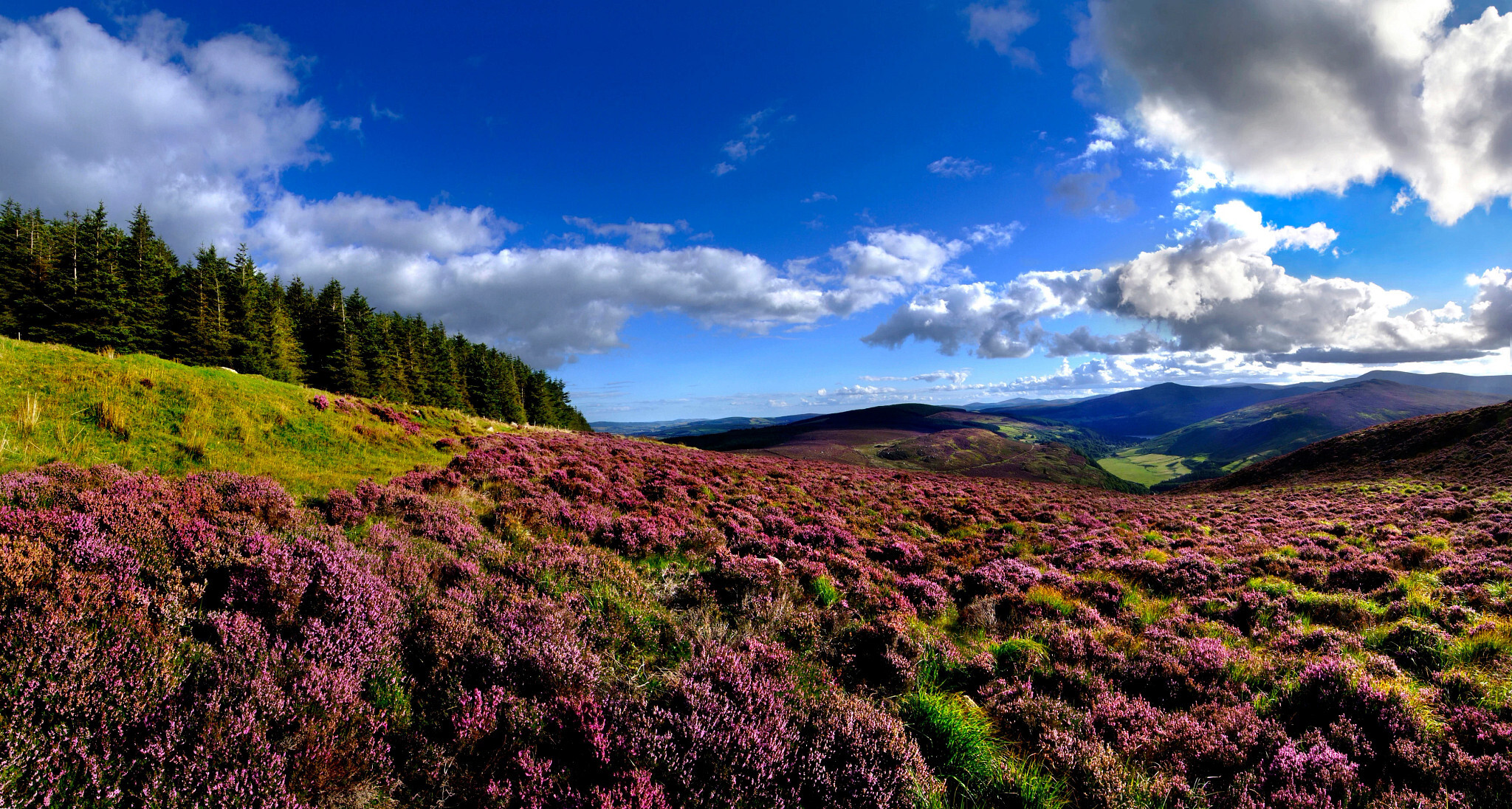 2027 Irish Spirit Self-Drive - 8 Days/7 Nights