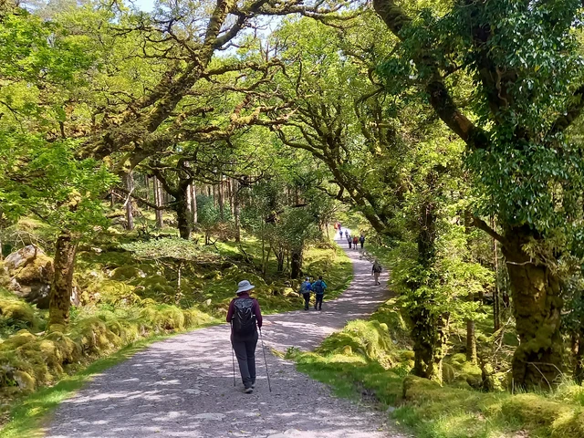 2027 Best of Ireland South Self-Drive (Tour A) - 8 Days/7 Nights