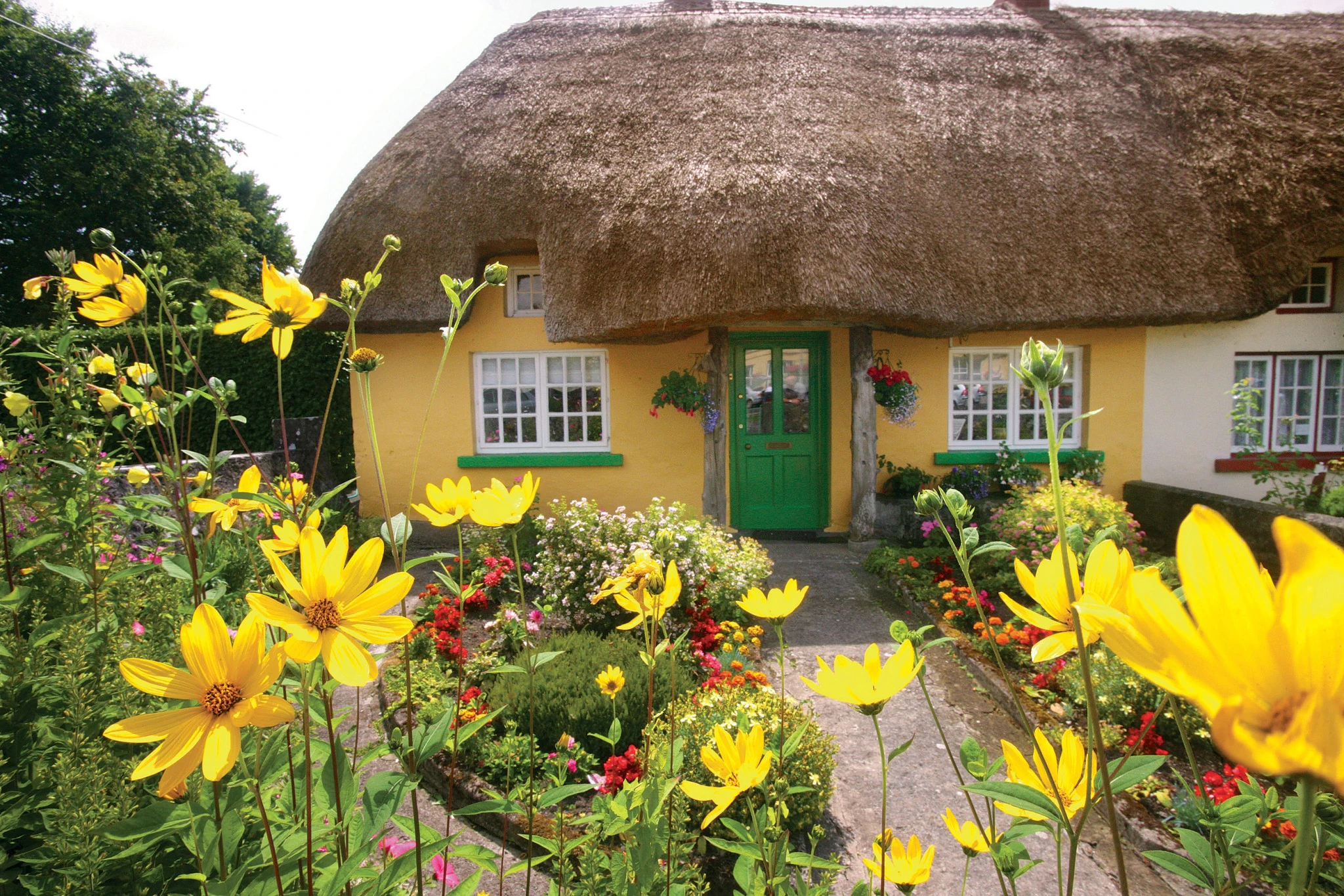2027 Best of Ireland South Self-Drive (Tour A) - 8 Days/7 Nights