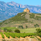 rioja%20vineyard%20spain%20IS.png