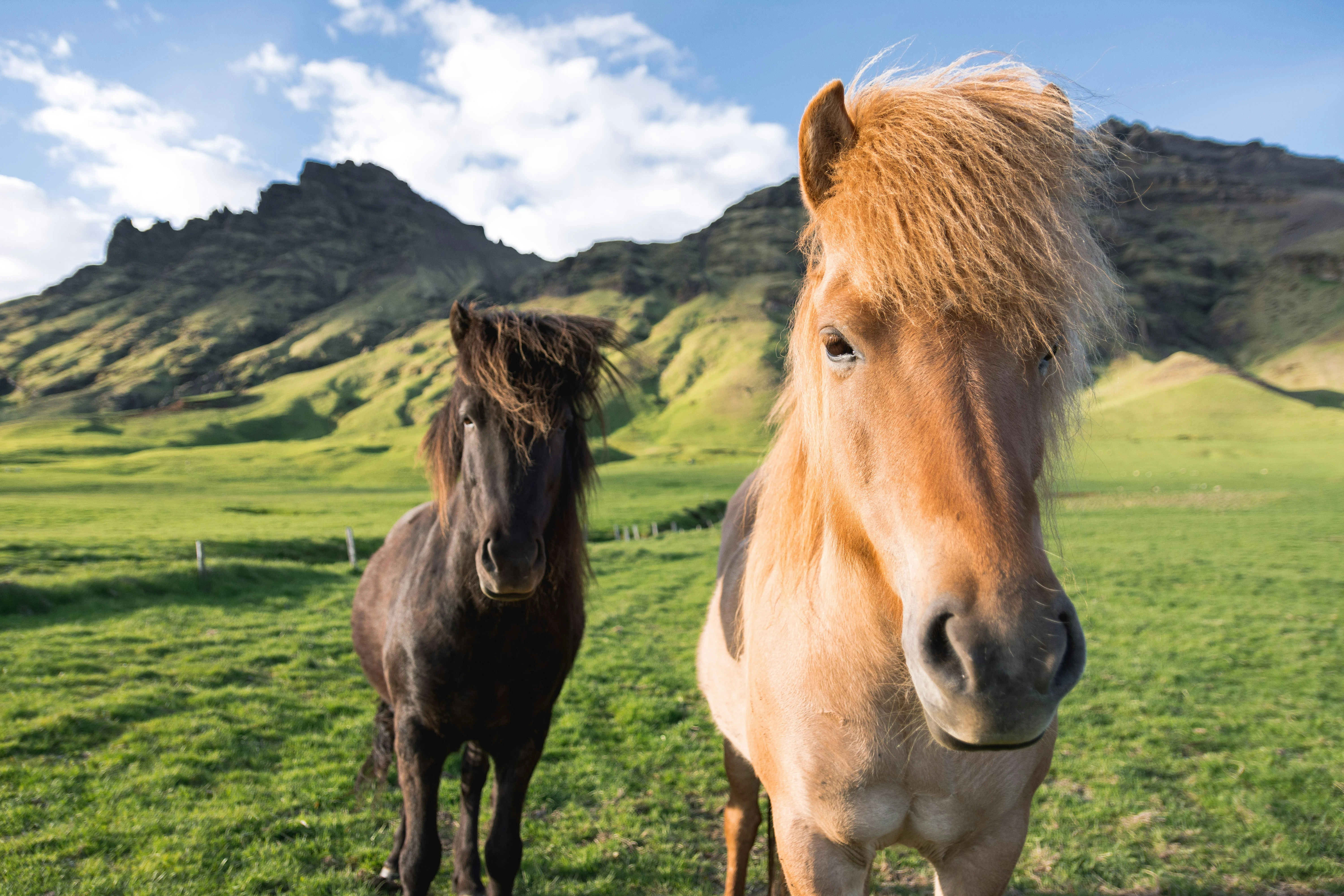 Best of Iceland