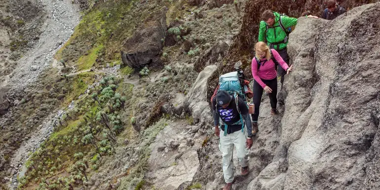 Tanzania: Kilimanjaro's Lemosho Route & Serengeti Safari