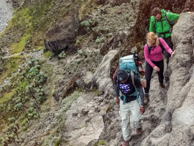 Tanzania: Kilimanjaro's Lemosho Route & Serengeti Safari