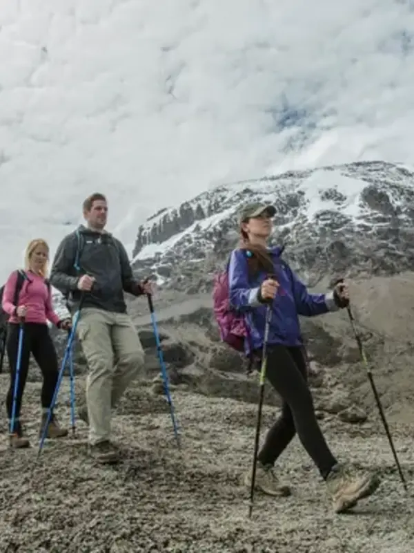 Tanzania: Kilimanjaro's Lemosho Route & Zanzibar Beaches
