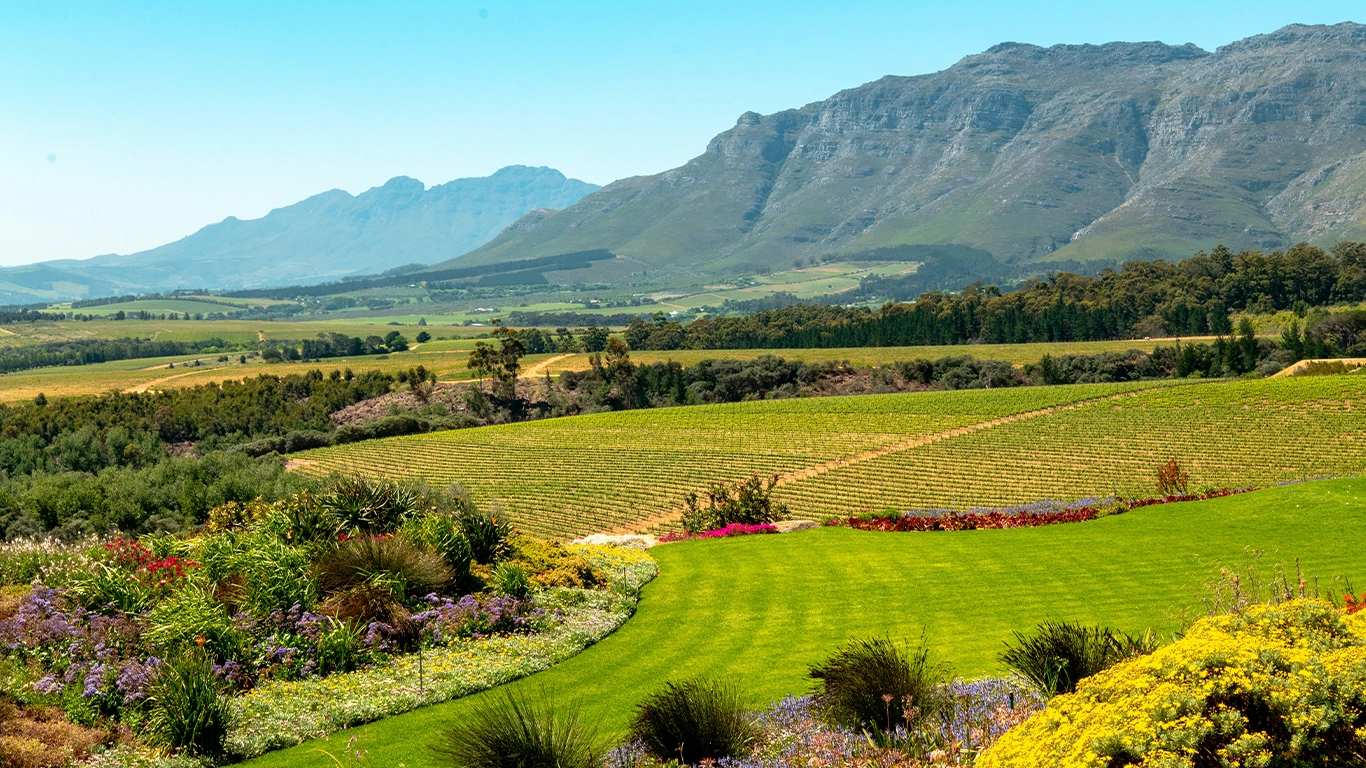 Iconic South Africa