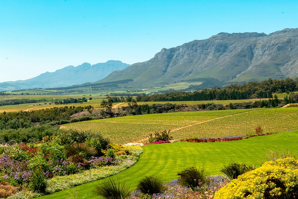 Iconic South Africa