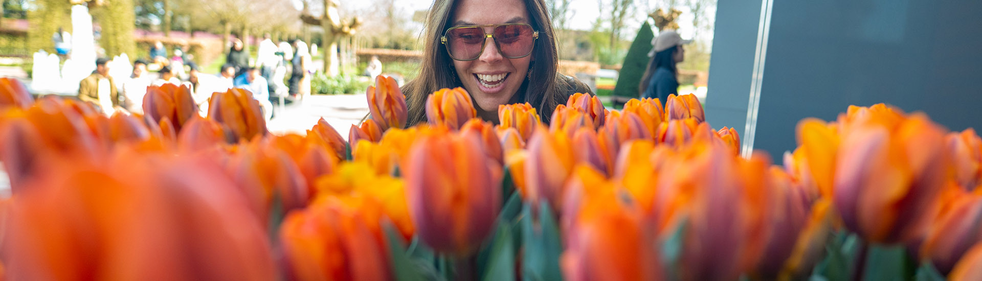Spring River Cruises in the Netherlands & Belgium