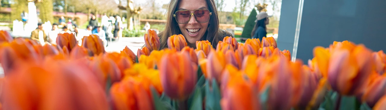 Spring River Cruises in the Netherlands & Belgium