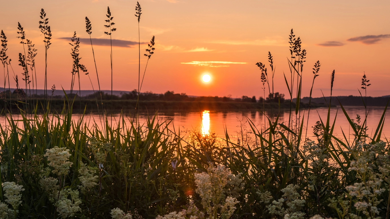 Nordic Discovery Sweden, Finnish Lapland & Norway's Coastal Cities