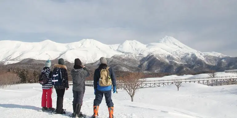 Active Japan: Hokkaido in Winter, Sea Ice to Onsens