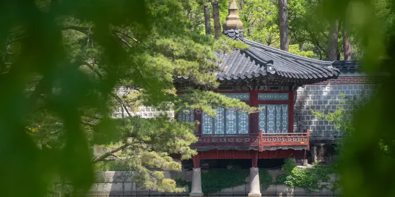 Seoul to Tokyo: Korea & Japan Highlights