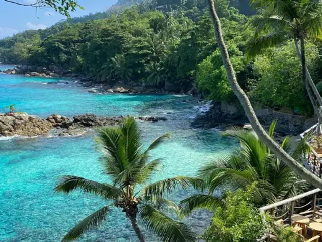 Seychelles: Vallee de Mai, Curieuse Island & the Shores of Anse Lazio