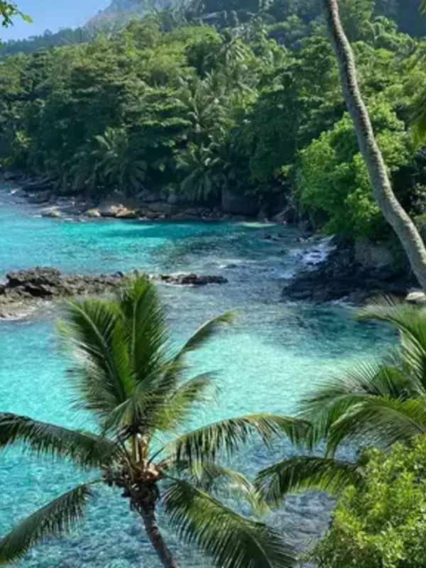 Seychelles: Vallee de Mai, Curieuse Island & the Shores of Anse Lazio
