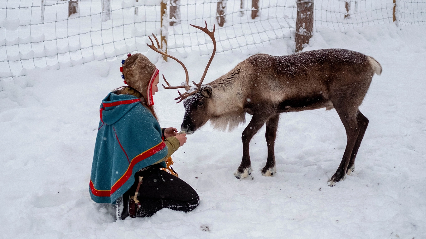 Winter Nordic Discovery