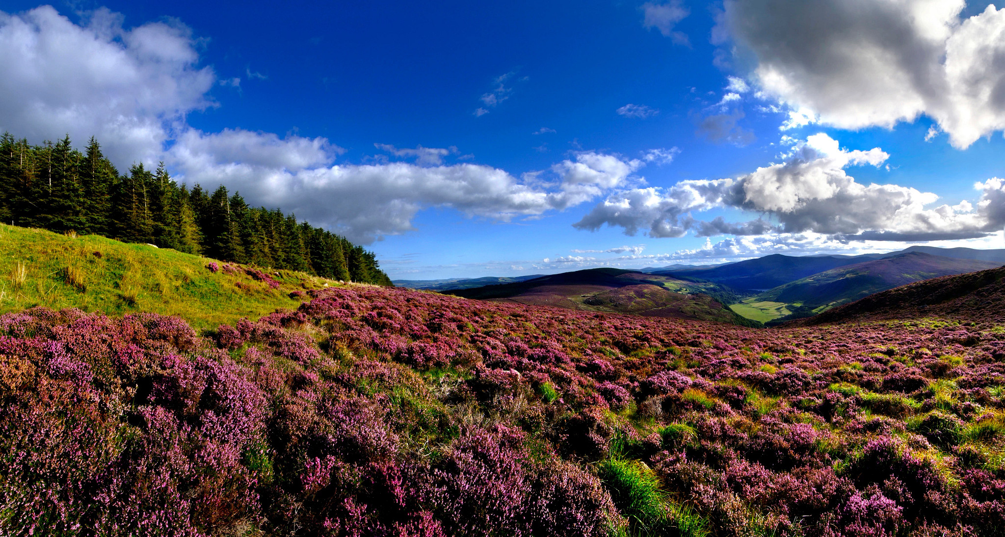 2027 Irish Spirit Self-Drive - 8 Days/7 Nights