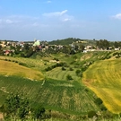 750_6.jpg