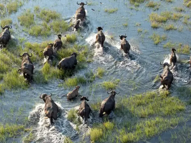 Signature: Kruger, Victoria Falls & Botswana’s Untamed Wonders