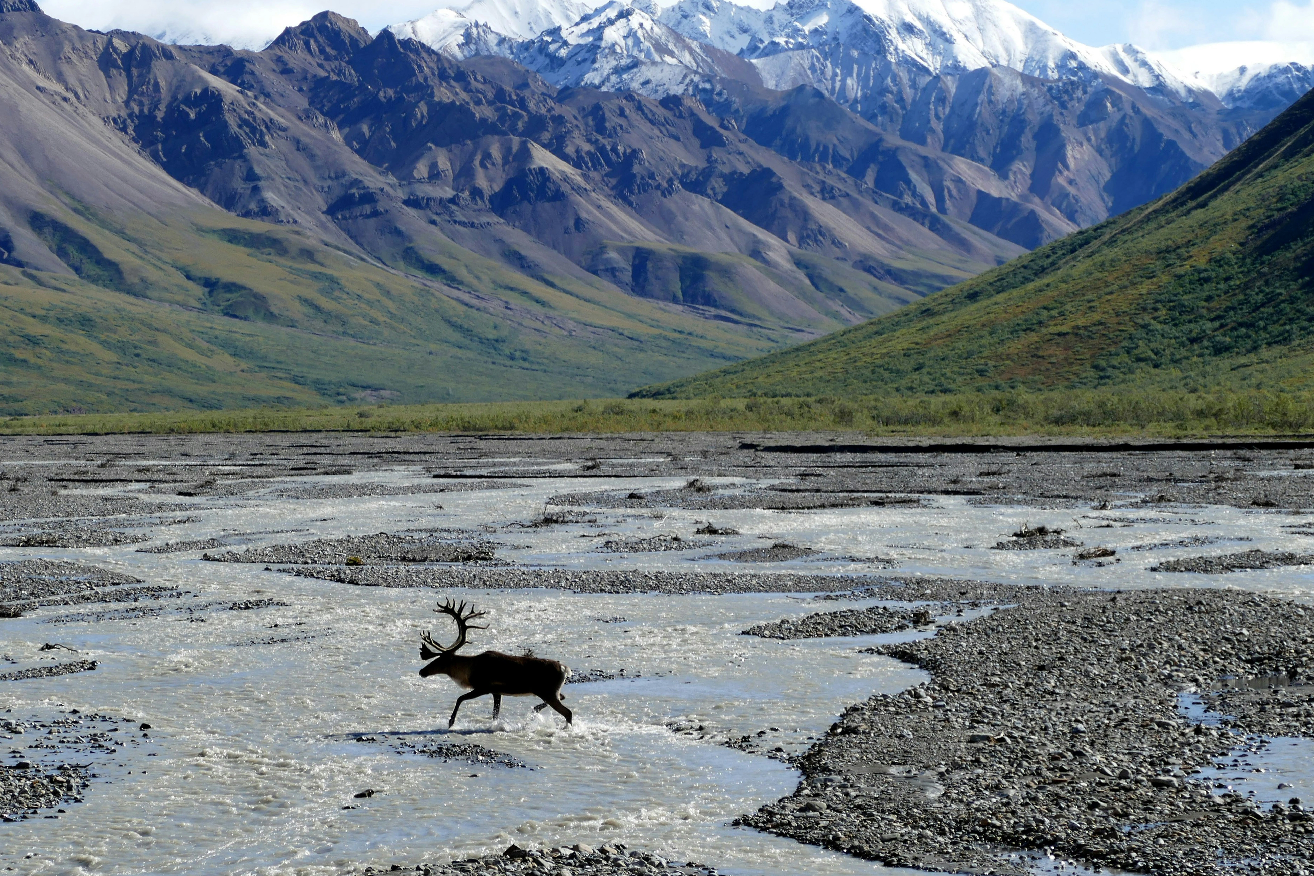 Alaska: America's Last Frontier