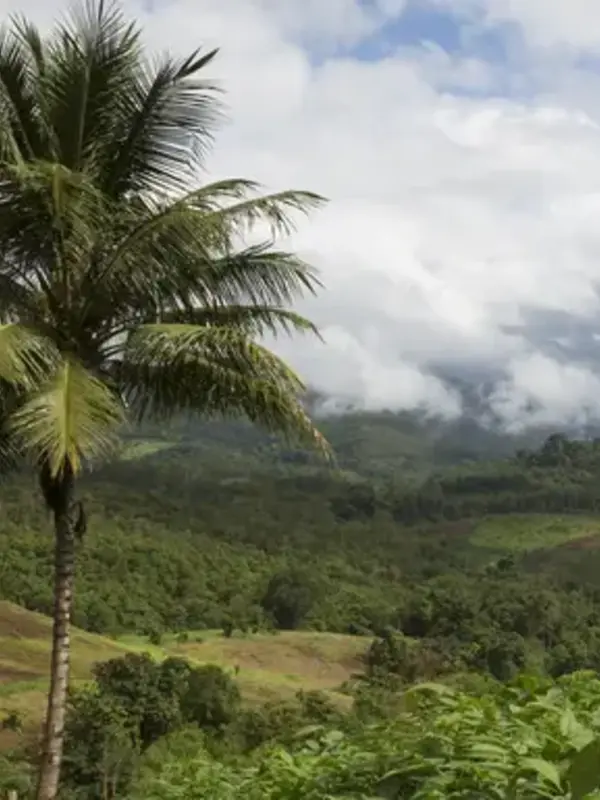 Journeys: Best of Northern Thailand