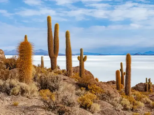 Journeys: Highlights of South America