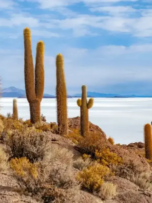 Journeys: Highlights of South America