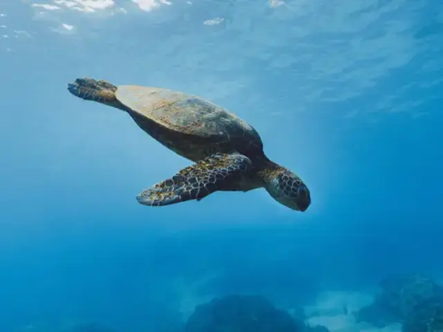Journeys: Explore South America