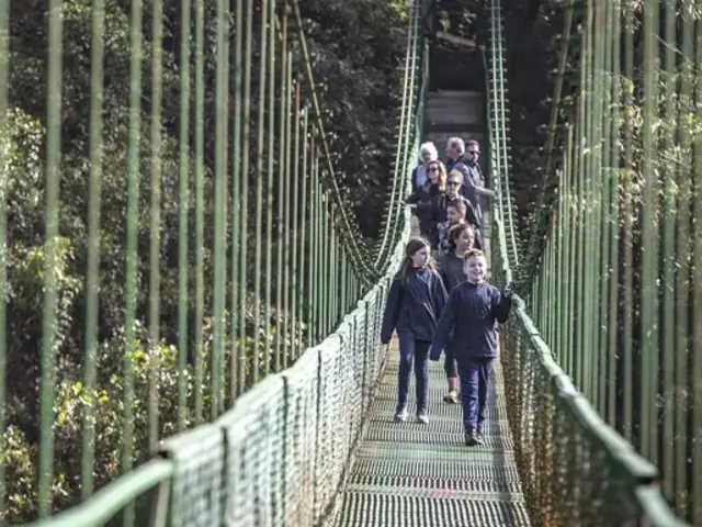 Costa Rica Family Journey: From Cloud Forests to the Beach