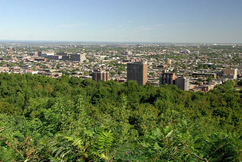 Charms of Québec A Journey through Montreal, Charlevoix & Quebec City