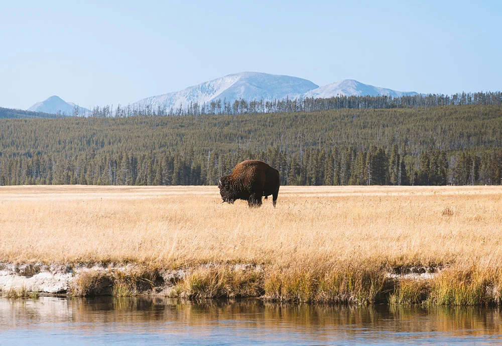 America's National Parks & Denver