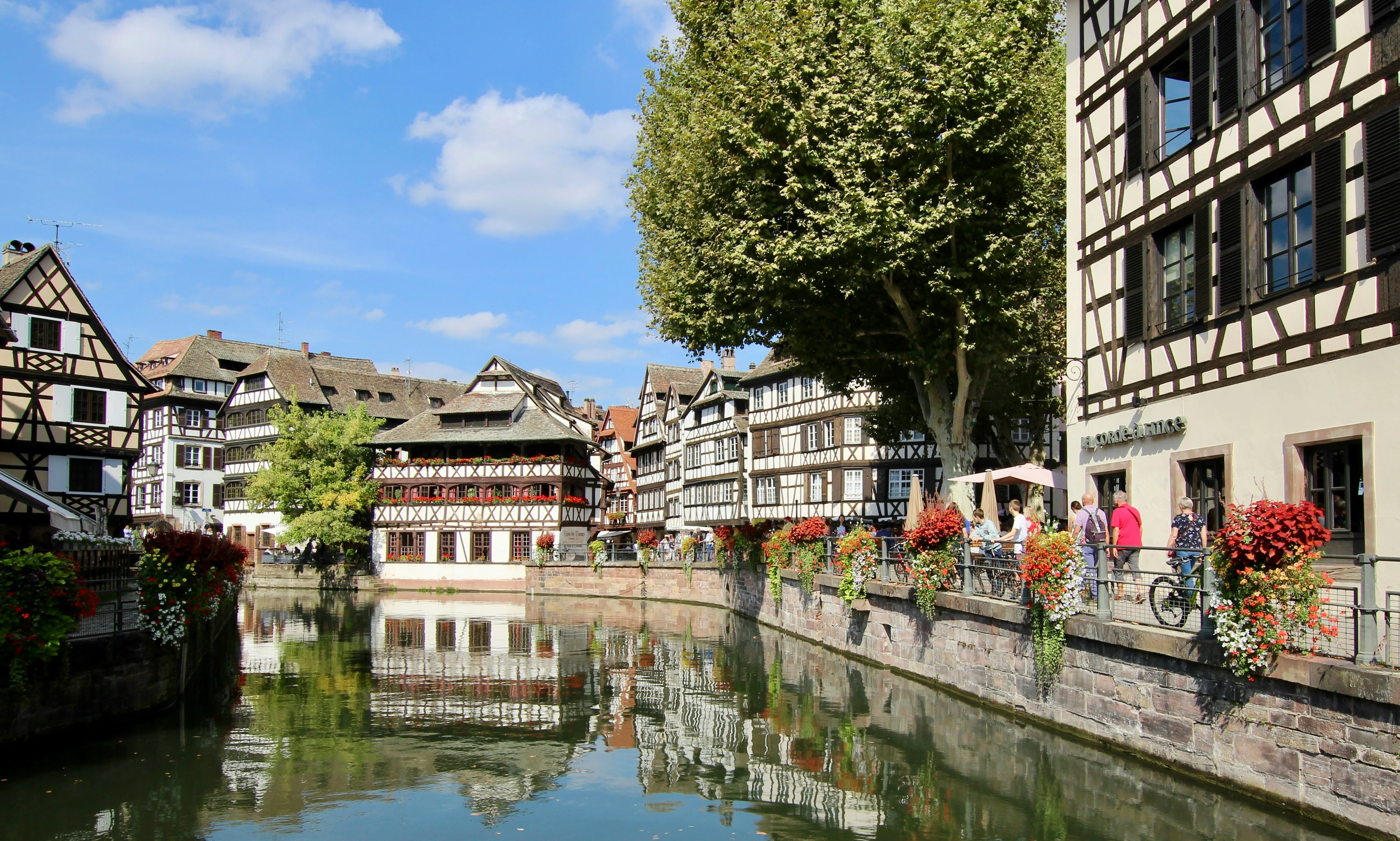 Magical Rhine & Moselle Rivers