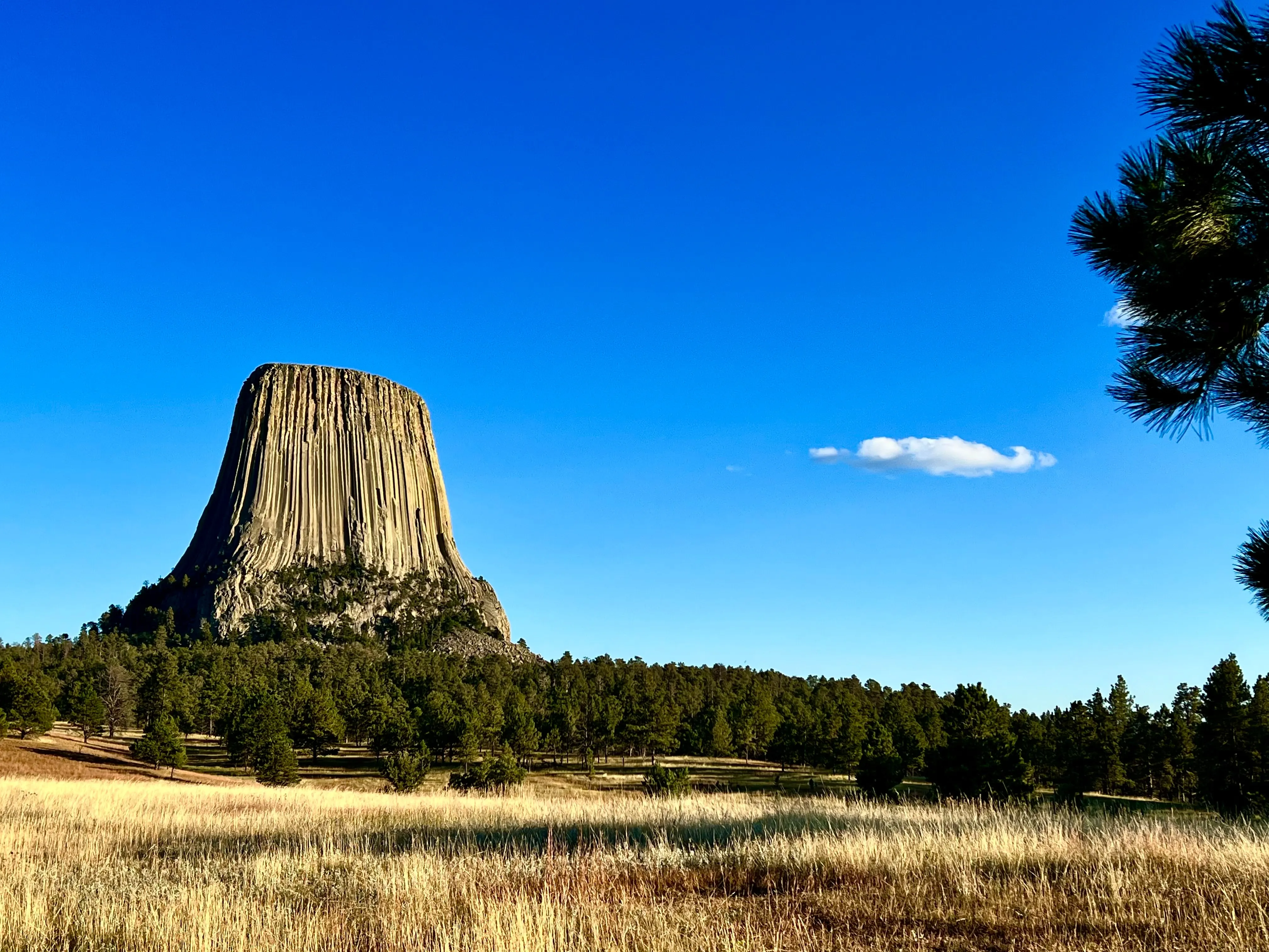 Spotlight on South Dakota featuring Mount Rushmore & The Badlands