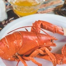 358_3.jpg